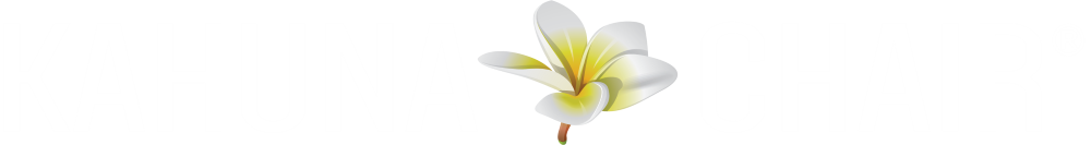 Dealer Kahuna Massage Chair